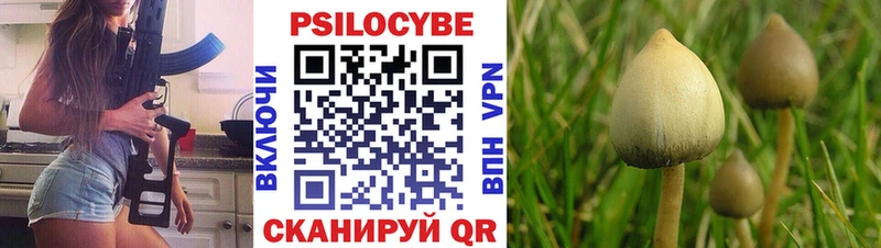 Галлюциногенные грибы Cubensis  Красавино 